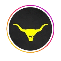 HAMBURGUESAS VAQUERAS